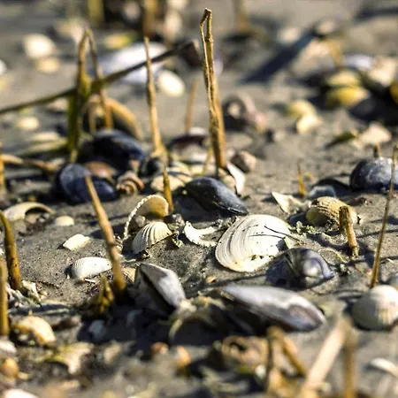 Сasa de vacaciones 8988-orsted-strandskadevej-18 *