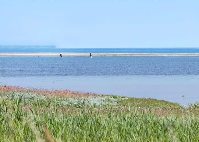 8988-orsted-strandskadevej-18 Σπίτι διακοπών Ørsted