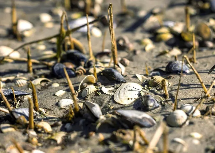 Σπίτι διακοπών 8988-orsted-strandskadevej-18 *